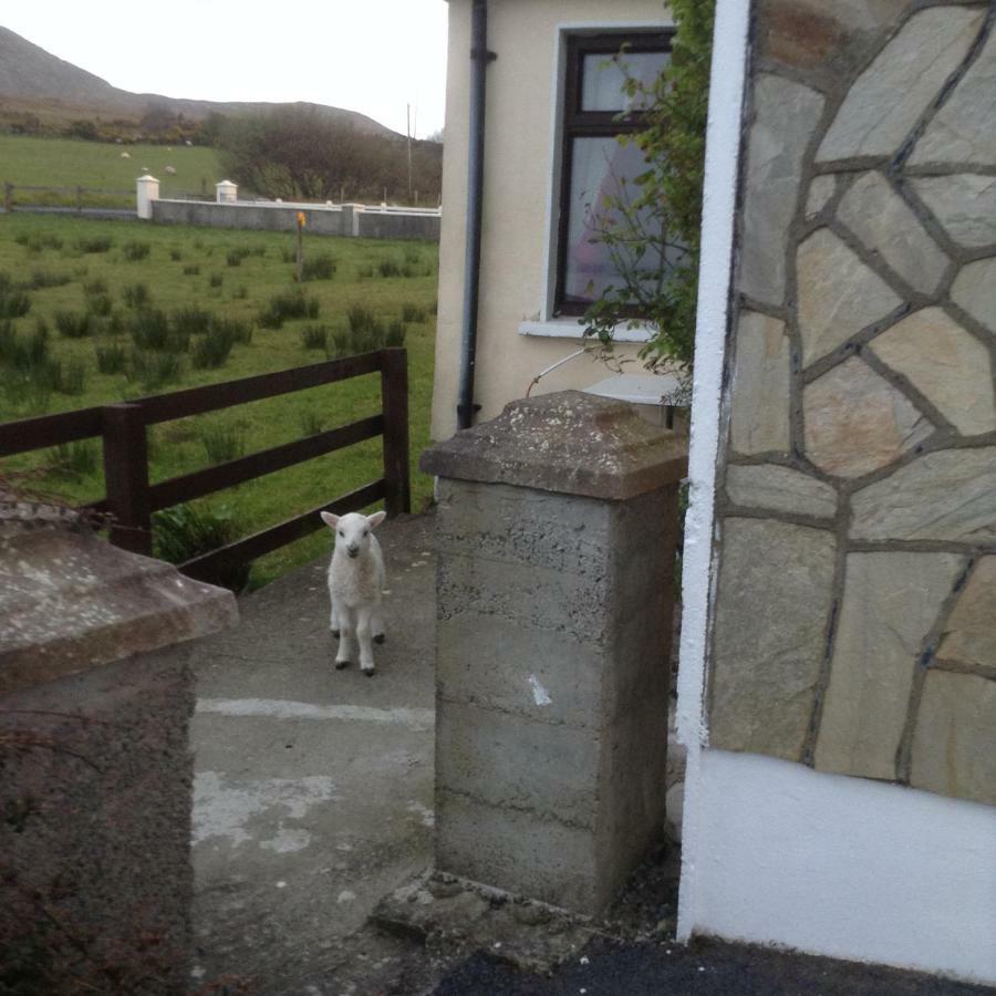 Sea View Chalet Kilsallagh Westport Co Mayo Extérieur photo